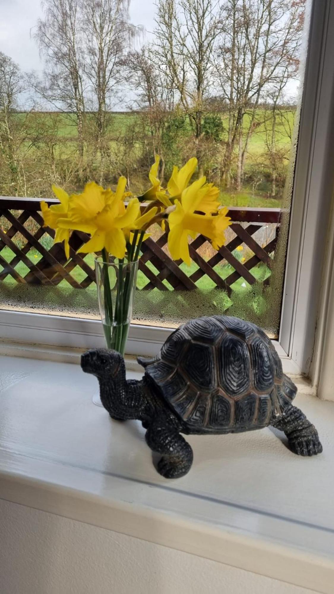 Turtle 29 - Riverside Appartement Builth Wells
